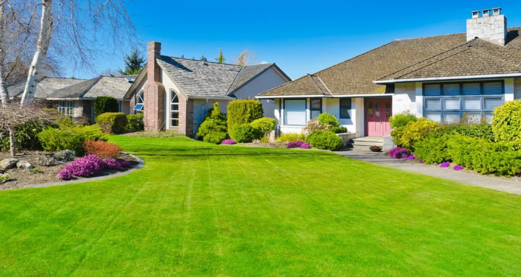Residential & commercial pet waste cleanup