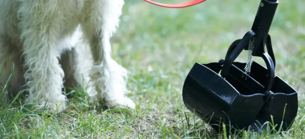 dog waste services