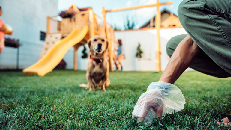 pet waste removal service in Redlands