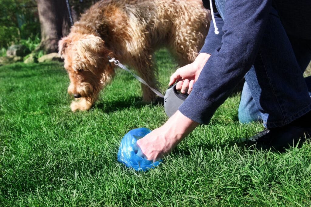 commercial pet waste services
