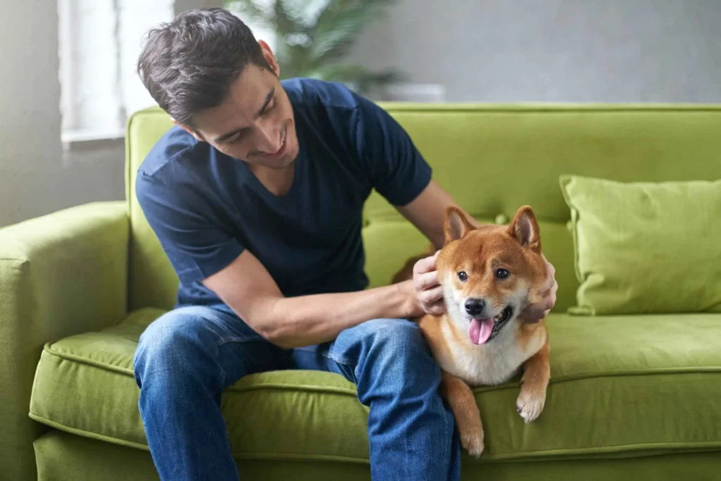 Commercial Pet Waste
